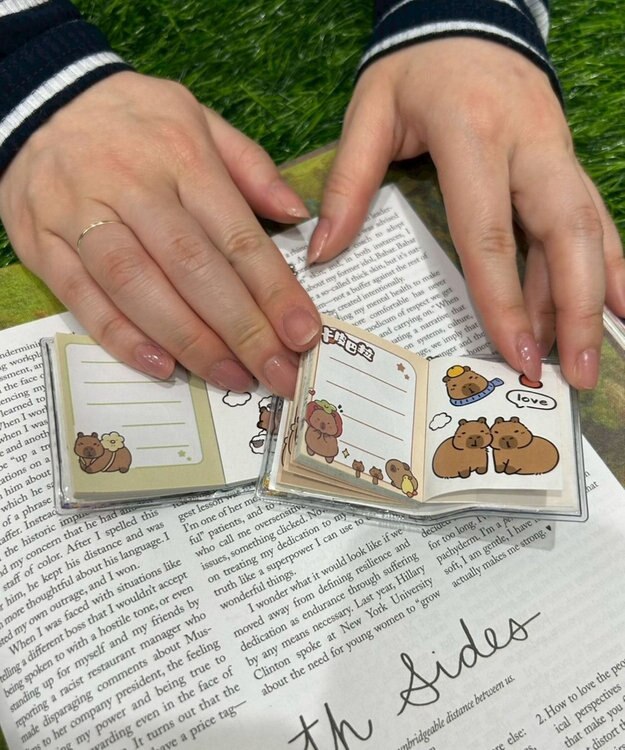 WEGO ボールチェーン付きカピバラステッカーメモ 柄1