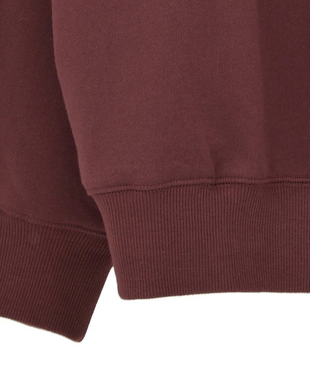 AMERICAN HOLIC Vネックワンポイントロゴスウェットプルオーバー Bordeaux