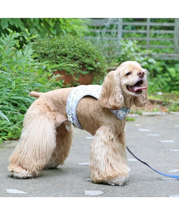 PET PARADISE ディズニー 101匹わんちゃん 保冷剤ポケット付き ハーネス ＳＭ 中型犬 保冷剤付