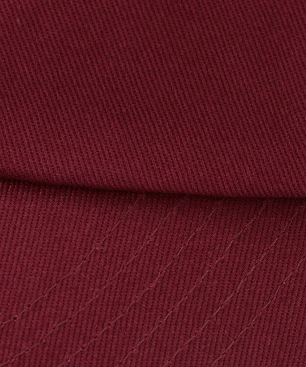 ANY 【POLO BCS別注】キャップ プラム