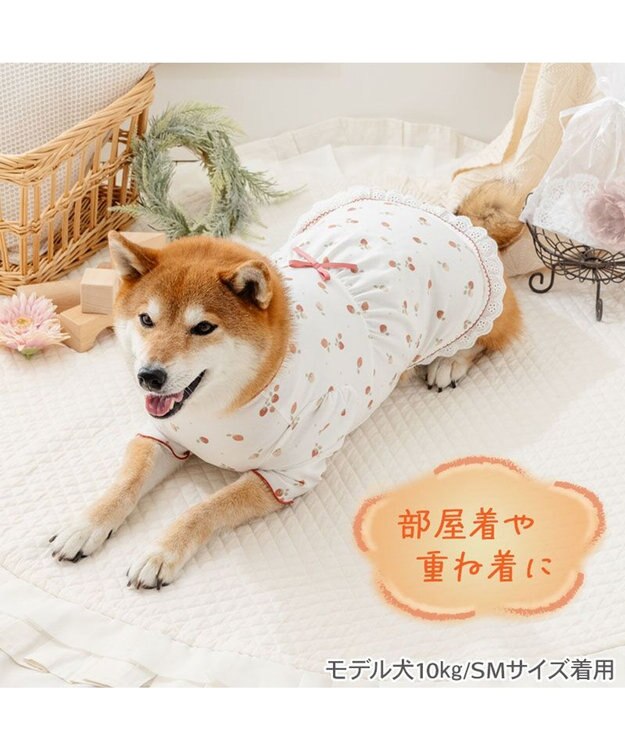PET PARADISE ペットパラダイス ペティヒート天竺 Tシャツ 《いちご》 中型犬 大型犬 ホワイト