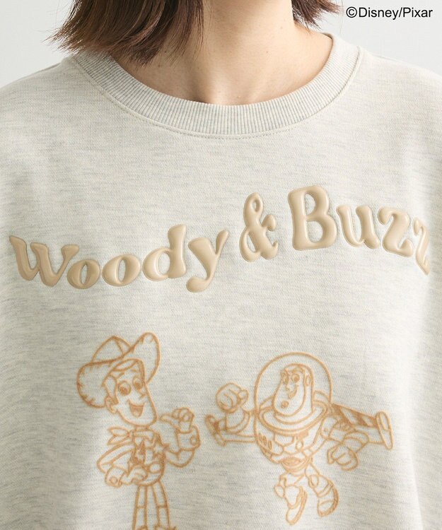 Green Parks トイストーリー／立体ロゴショートプルオーバー Oatmeal