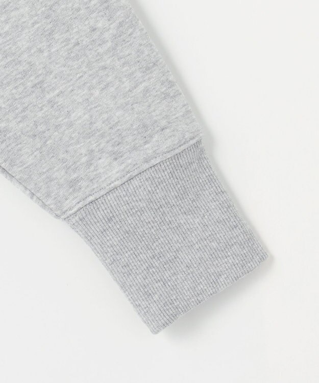 ANY ハーフジップスウェット ライトグレー