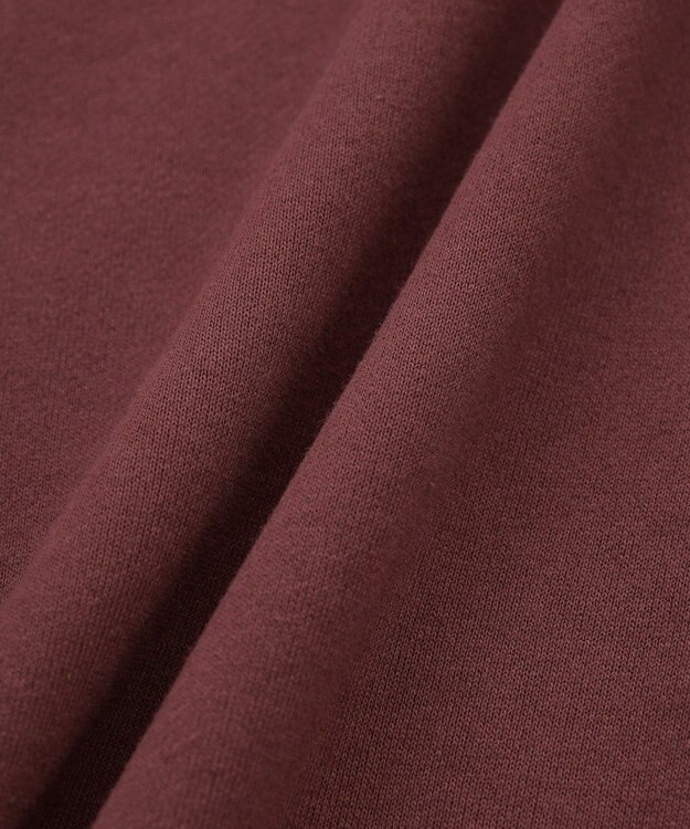 AMERICAN HOLIC Vネックワンポイントロゴスウェットプルオーバー Bordeaux