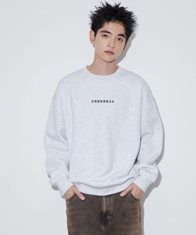 WEGO 【ユニセックス着用ITEM】アーチバックロゴグラフィックプルオーバー アッシュグレー