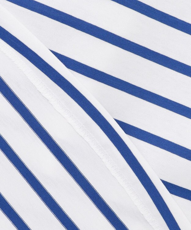 J.PRESS LADIES 【WEB限定カラーあり・洗える】ULTIM天竺ボーダー カットソー 【WEB限定カラー】オフ×ブルーボーダー系