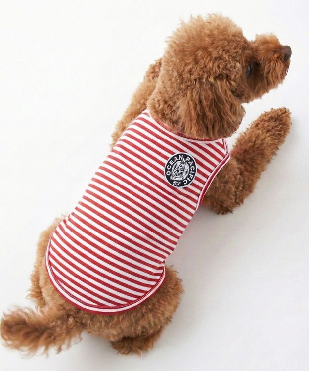 OP／FILA 【Ocean Pacific】ボーダードッグウェア ペットウェア レッド