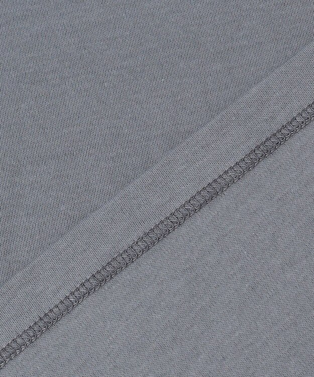 自由区 【カトリエムブーケ】Translucidite シアープルオーバー グレー