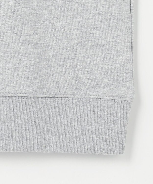 ANY ハーフジップスウェット ライトグレー