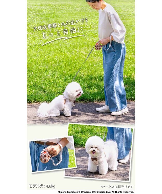 PET PARADISE ミニオン ティム 伸縮リード ブラウン