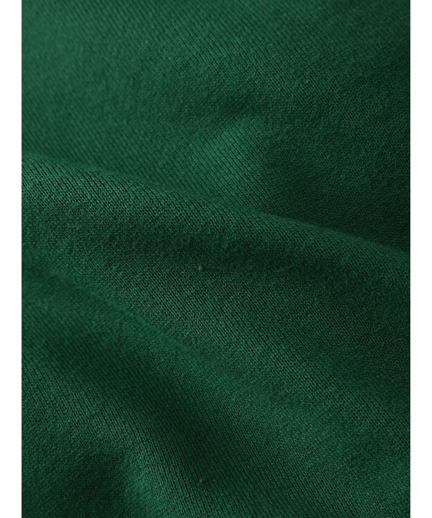 earth music&ecology ハーフＺＩＰサークルロゴ刺繍裏毛プルオーバー Green