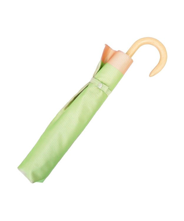 槇田商店 SCENE グログランシャンブレー グリーン 折りたたみ傘 緑