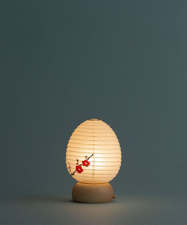 ちょうちん堂 【きもち】AKOGARE 梅 ちょうちん ライト ホワイト