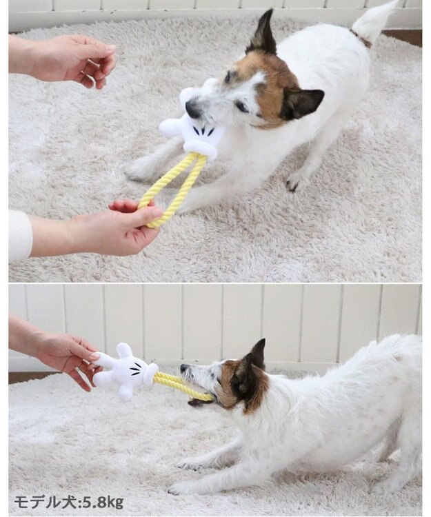 PET PARADISE ディズニー ミッキーマウス 《手のロープトイ》 犬用おもちゃ -