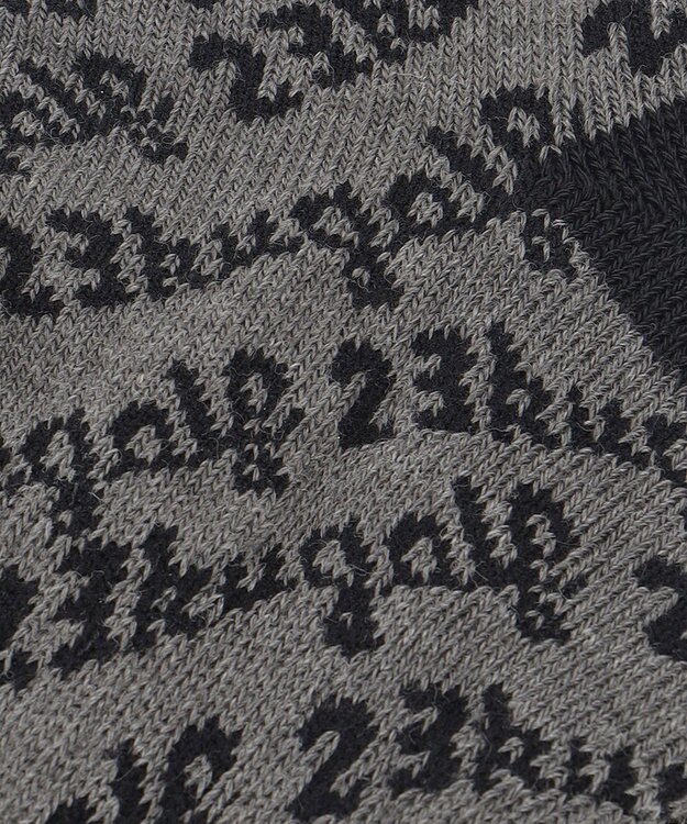 23区GOLF 【MEN】足元に華やかさを添える レジメロゴアンクル ソックス ギフトにもおすすめの一足 ブラック系5