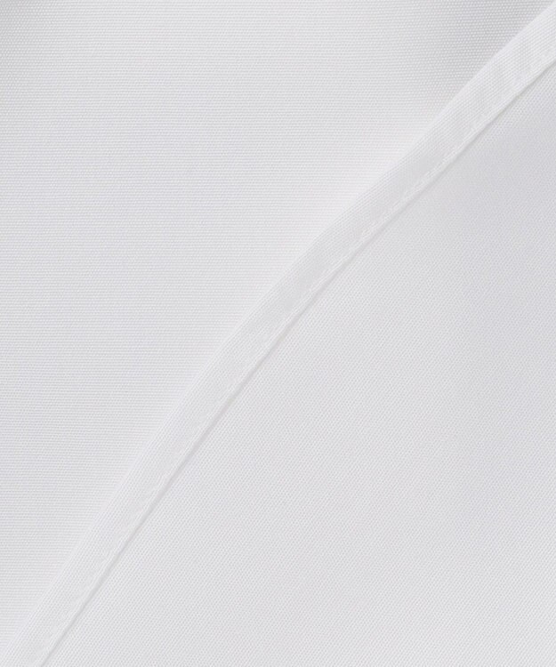 GOTAIRIKU 【形態安定】PREMIUMPLEATS_レギュラーカラー 通年ドレスシャツ ホワイト系