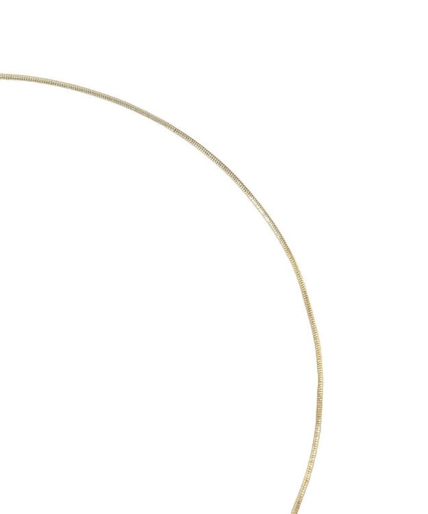 AMERICAN HOLIC コイントップY字ネックレス Gold