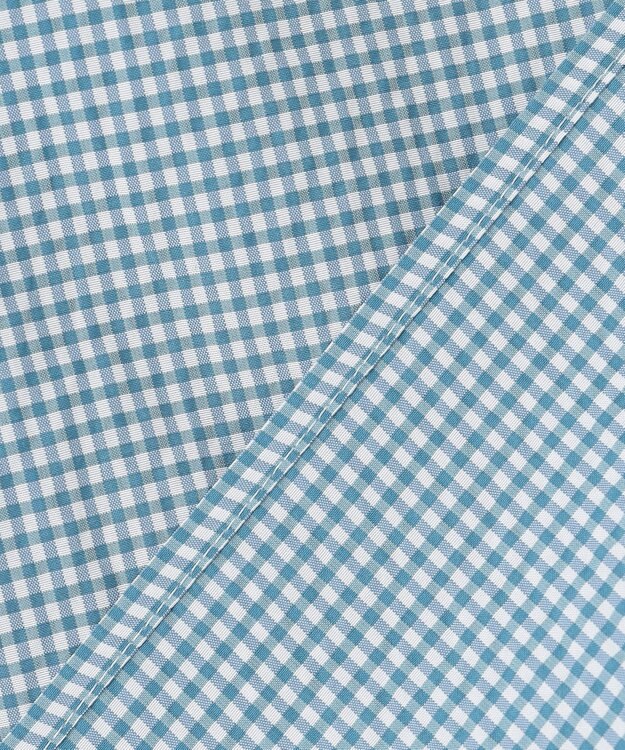 J.PRESS LADIES L 【洗える】アセVis ギンガム ボリュームスリーブ ブラウス シーグリーン系3