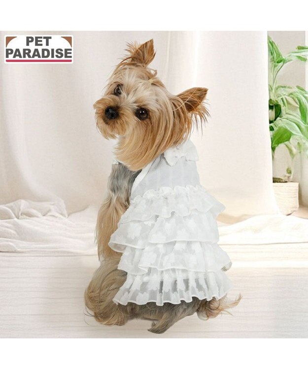 PET PARADISE ペットパラダイス お花 ふりふり ワンピース 《ホワイト》 小型犬 ホワイト