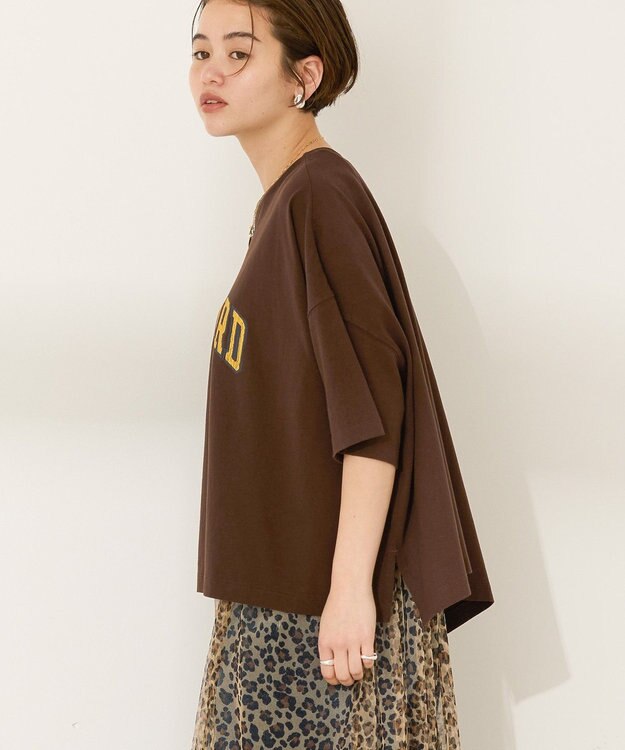 AMERICAN HOLIC STANFORD BIGプルオーバー Brown