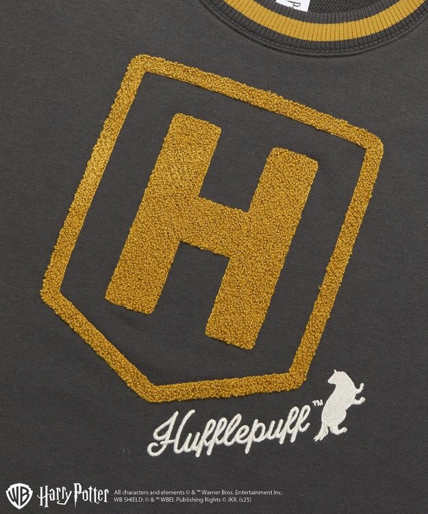 Green Parks ハリー・ポッター／サガラ刺繍ロゴプルオーバー Charcoal Gray