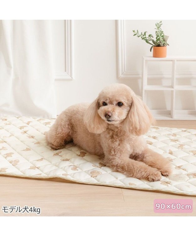 PET PARADISE ペットパラダイス くまさん クールマット Ｍ ライトベージュ