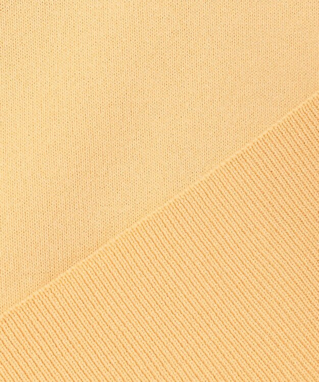 組曲 S 【WEB限定カラーあり】MINA 袖フリルニットプルオーバー イエロー系9