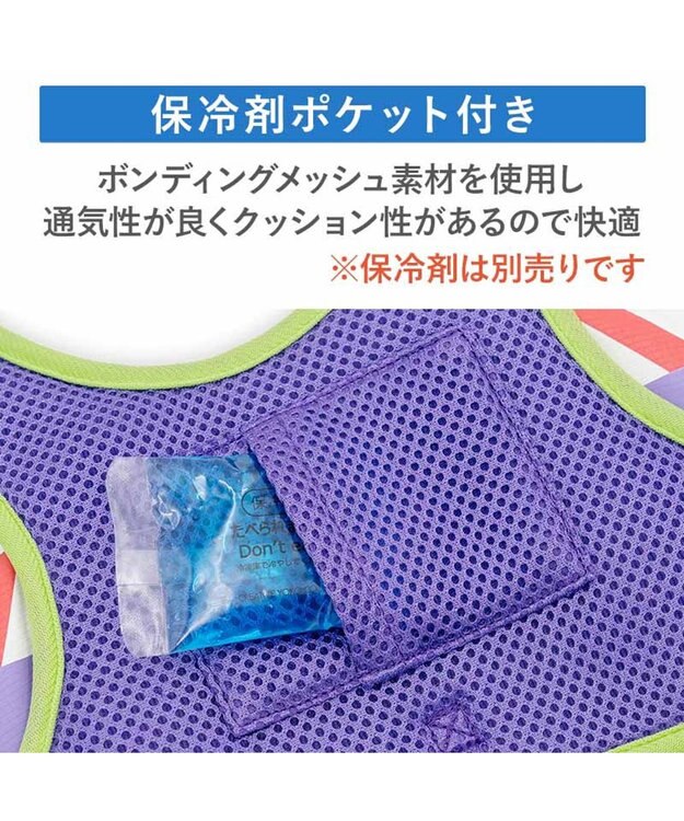 PET PARADISE ディズニー トイ・ストーリー バズ ベストハーネス ＳＳ マルチカラー