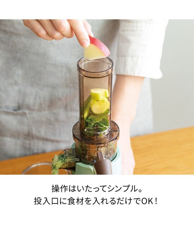 YAMATO テーブル＆キッチン 【レコルト】コールドプレスジューサーミニ  セージグリーン  RCJ-1(GE) グリーン