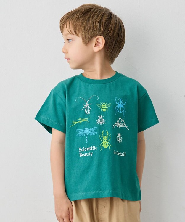 ANY KIDS 【洗濯機可能】昆虫プリント 半袖Tシャツ グリーン