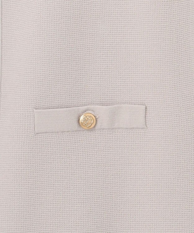 J.PRESS LADIES L 【洗える】VIS/PE ROME ニット ジレベスト グレージュ系