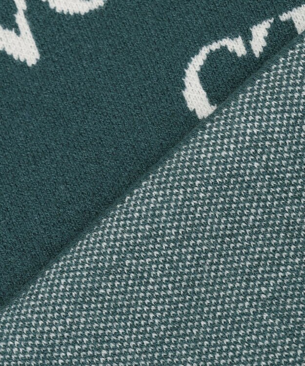 ANY しあわせタッチメッセージニット グリーン