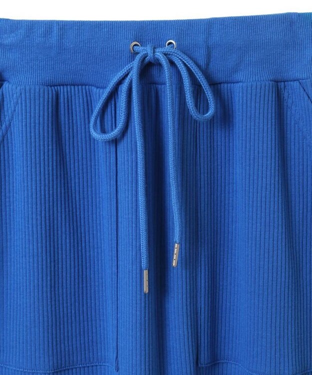 Green Parks Ｍｉｆｆｙ／カットリブＩラインスカート Blue