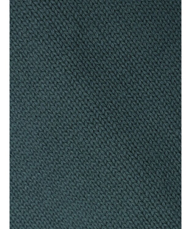 CRAFT STANDARD BOUTIQUE ガンジーニットプルオーバー Green