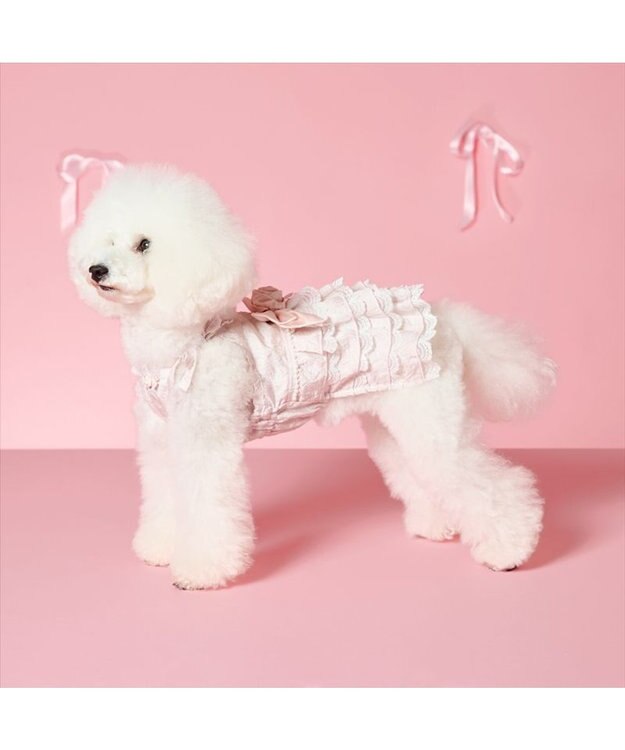 PET PARADISE cherircouture ローズリボン ワンピース 小型犬 ピンク