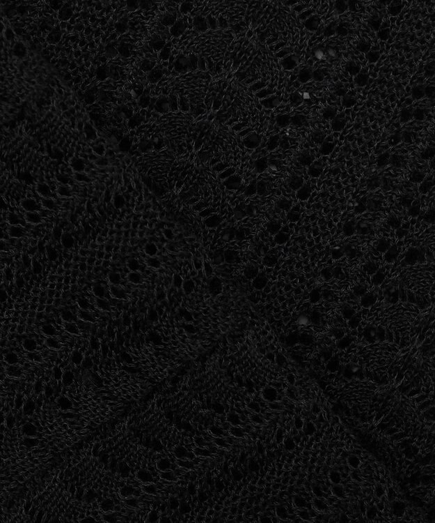 J.PRESS LADIES L 【洗える・抗菌防臭】コットンアセテート Vネック レーシー カーディガン ブラック系