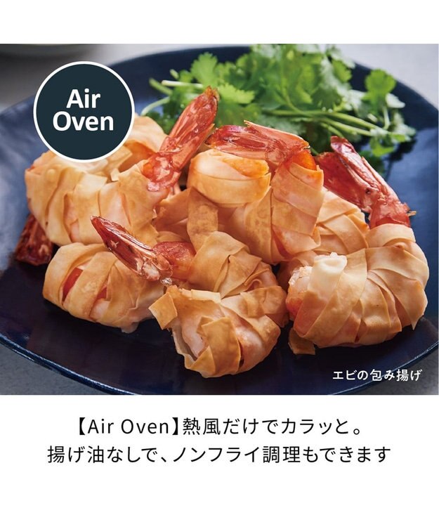 YAMATO テーブル＆キッチン 【レコルト】ハイスチームエアーオーブン  ナチュラルブラック  RAO-3(BK) ブラック