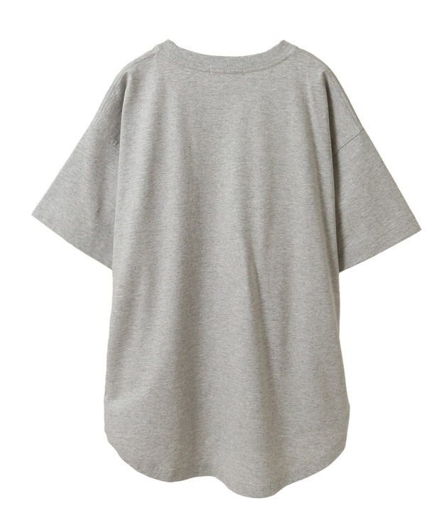 AMERICAN HOLIC BROOKLYN カレッジロゴBIGTシャツ Gray Mixture