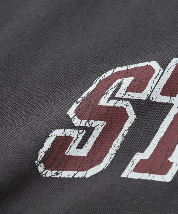 AMERICAN HOLIC STANFORD BIGプルオーバー Charcoal Gray