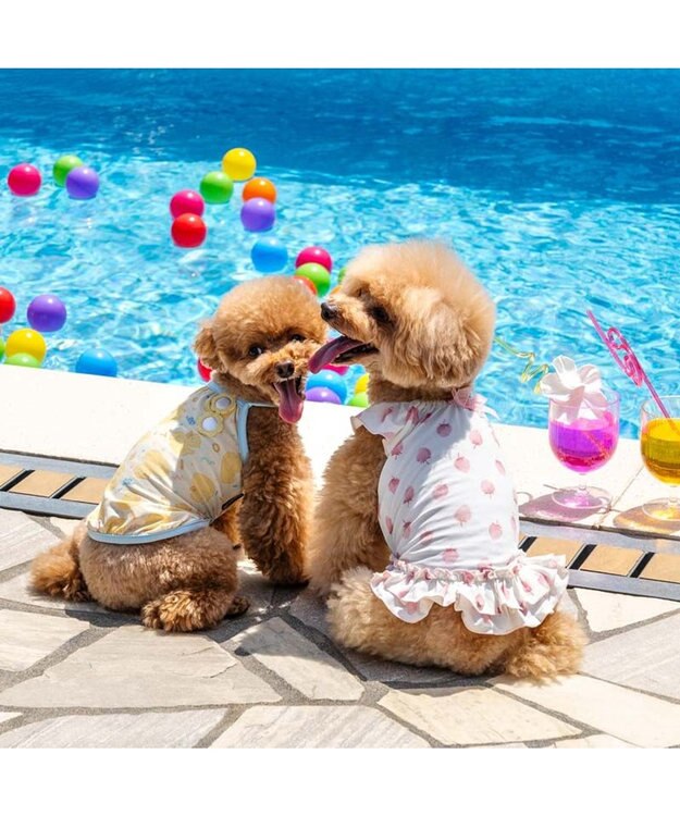 PET PARADISE ペットパラダイス タッチワンクールプラス キャミソール 《あひる》 小型犬 ライトイエロー