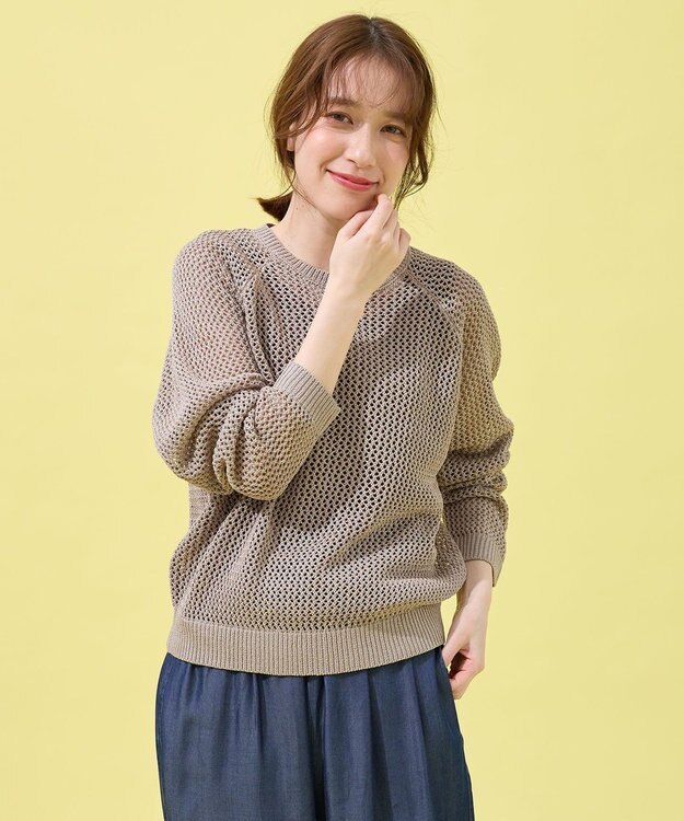 ANY メッシュプルオーバー グレージュ×ゴールド