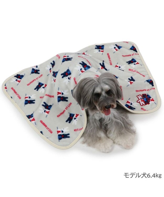 PET PARADISE リサとガスパール ブランケット 《頬杖柄》 ベージュ