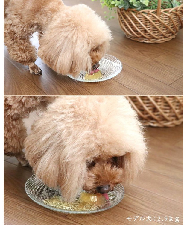 PET PARADISE りんごゼリー 8個入り 0