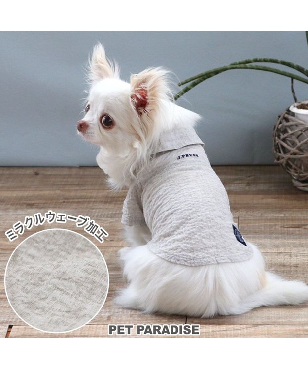 PET PARADISE J.PRESS 杢 ウェーブシャツ 《グレー》 小型犬 グレー