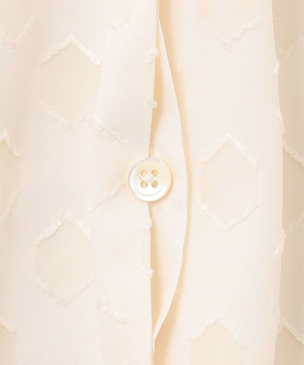 自由区 【洗える】カットジャカード ボウタイブラウス アイボリー系