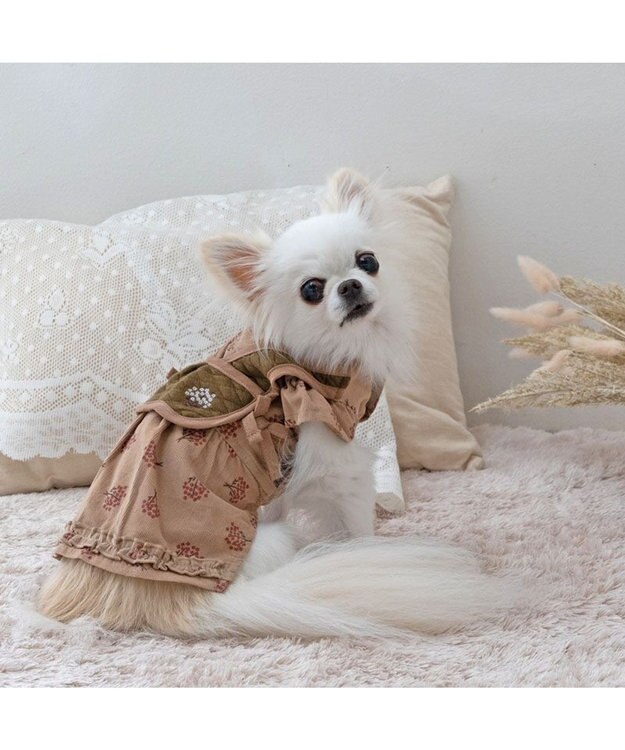 PET PARADISE ペットパラダイス キルトベスト付きワンピース 《ブラウン》 超小型犬 小型犬 ブラウン