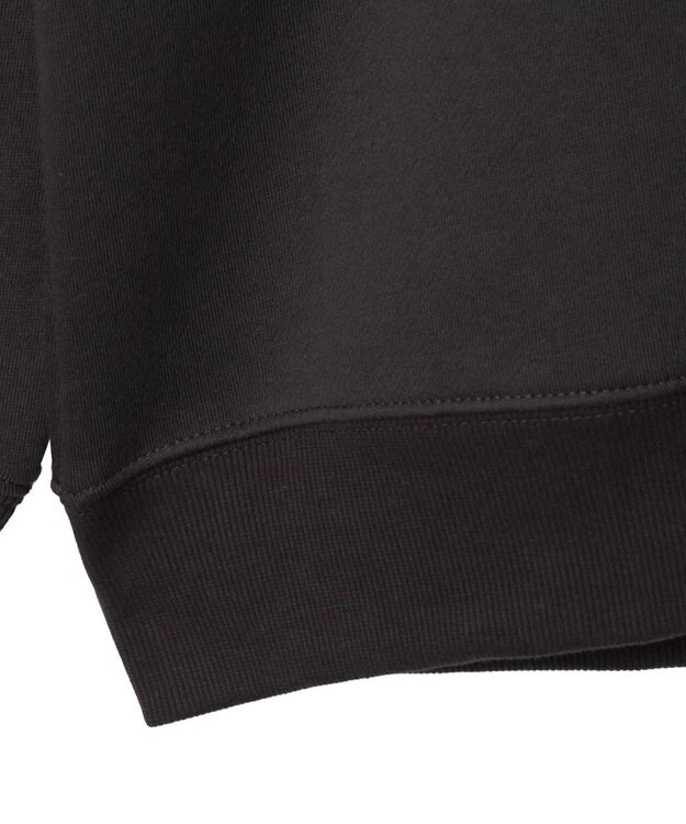 WEGO 【ユニセックス着用ITEM】アーチバックロゴグラフィックプルオーバー ブラック中濃色