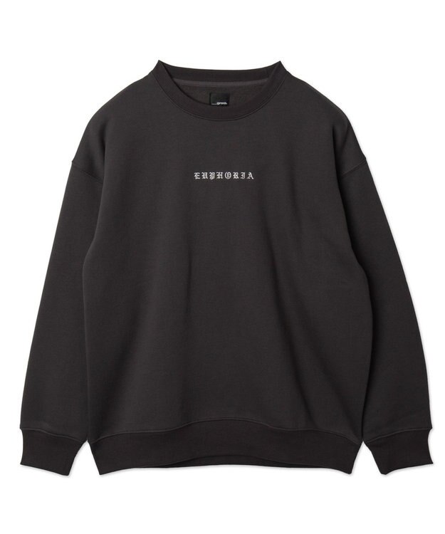 WEGO 【ユニセックス着用ITEM】アーチバックロゴグラフィックプルオーバー ブラック中濃色