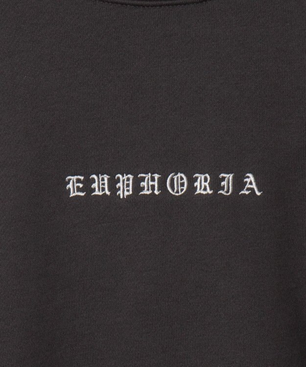 WEGO 【ユニセックス着用ITEM】アーチバックロゴグラフィックプルオーバー ブラック中濃色