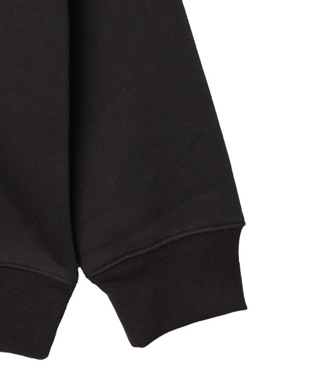 WEGO 【ユニセックス着用ITEM】アーチバックロゴグラフィックプルオーバー ブラック中濃色